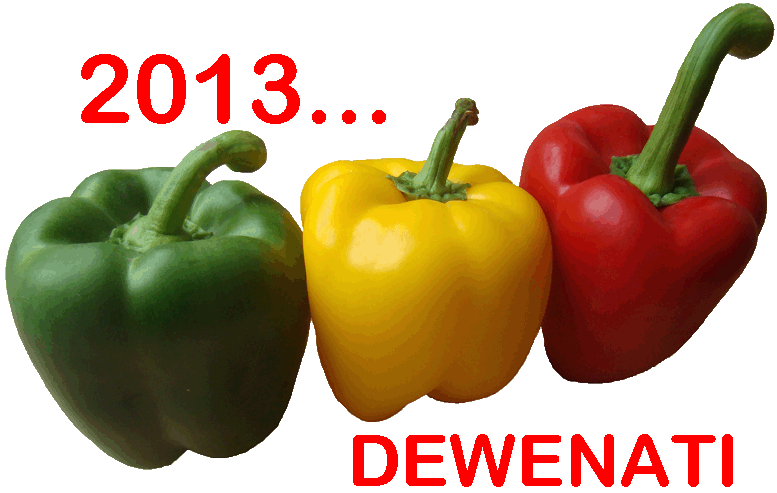 dewenati 2013